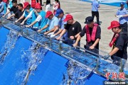 在线解梦2025年全国水生生物同步增殖放流活动在福建举行
