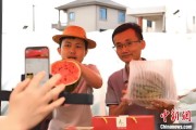 在线解梦（乡村行·看振兴）江西安福“小西瓜”撬动乡村共富“大支点”