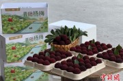 在线解梦高速赋能产业升级：一条“杨梅路”的致富密码